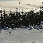 Anna Apartman Winterberg