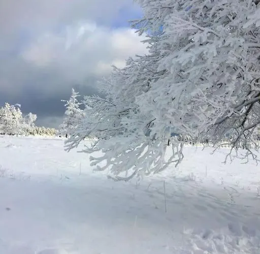 Διαμέρισμα Anna *