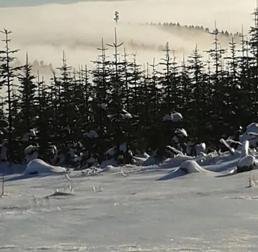 Anna Διαμέρισμα Βίντερμπεργκ